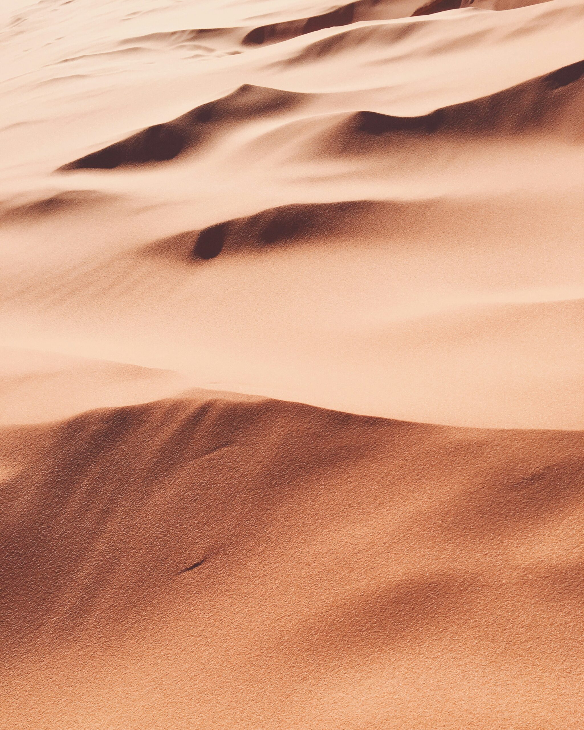 sandtwo